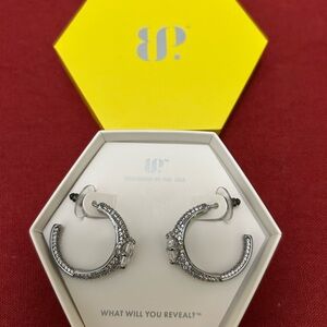 Elegant Hoop Earrings